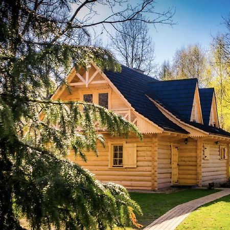 Sucholand Villa Miedziana Góra Dış mekan fotoğraf