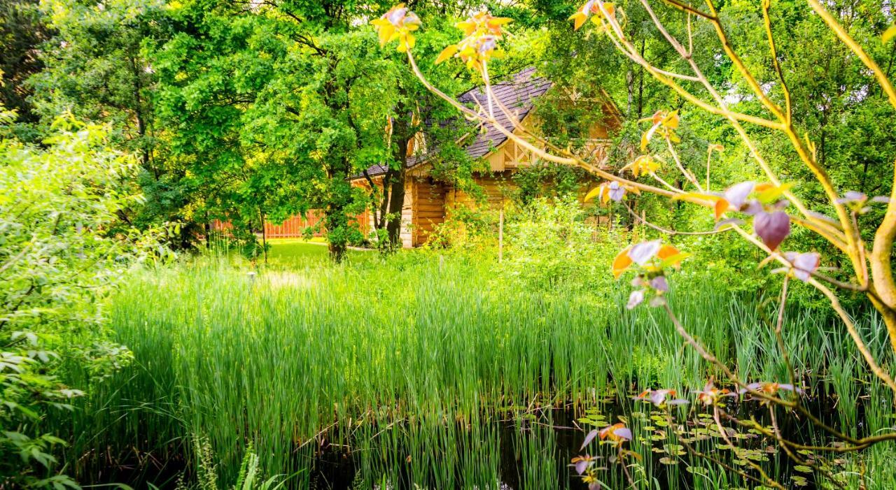Sucholand Villa Miedziana Góra Dış mekan fotoğraf