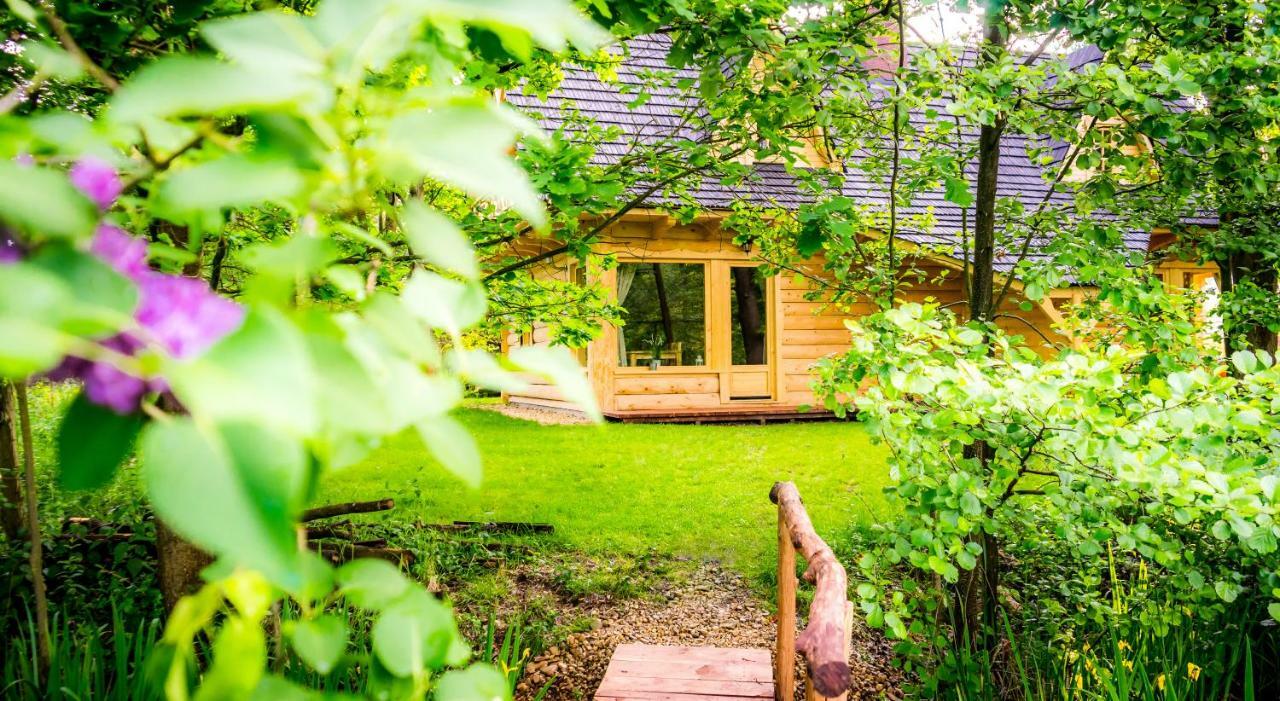 Sucholand Villa Miedziana Góra Dış mekan fotoğraf