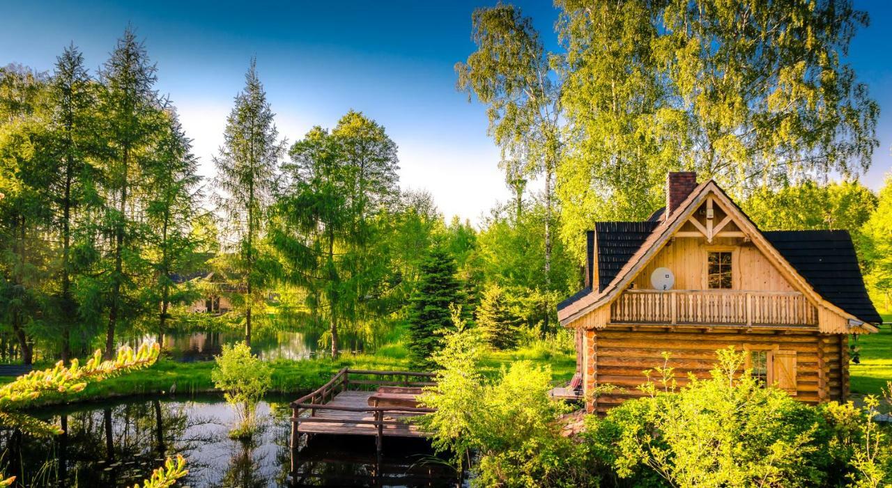 Sucholand Villa Miedziana Góra Dış mekan fotoğraf